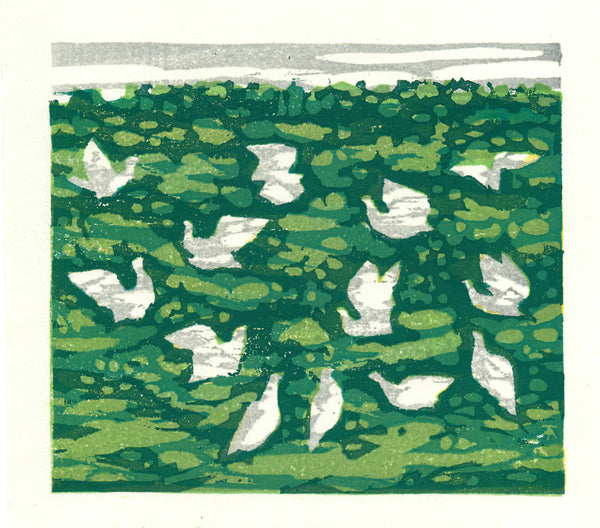 Illustration of white birds flying over a green landscape with a white border.