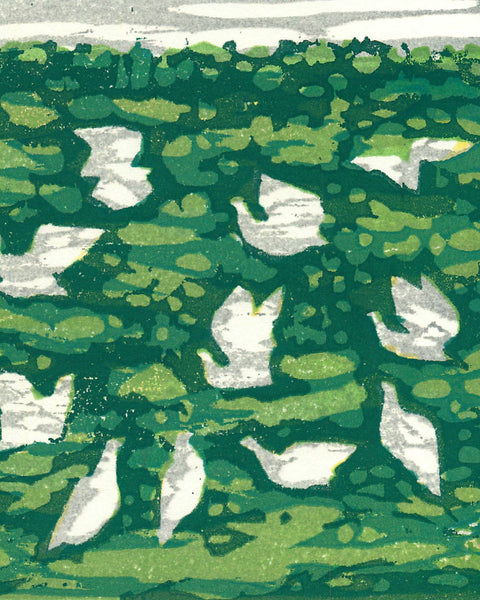 Illustration of white birds flying over a green landscape with a white border.
