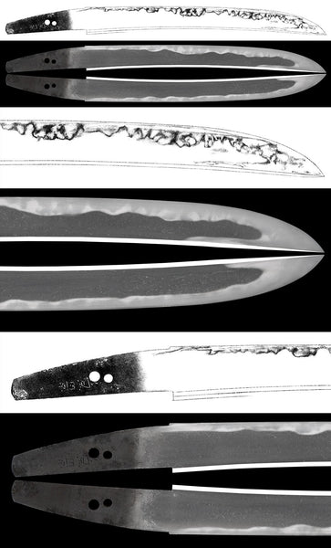 Rare Insect & Reptile Masterpiece Sword Scabbard, Aogai Raden Koshirae (NBTHK Hozon) with Muromachi Kanekage Wakizashi (NBTHK Hozon)