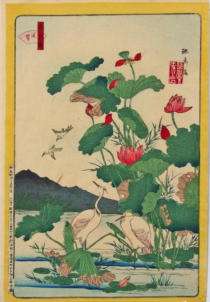 A Japanese ukiyo-e woodblock print depicting lotus flowers, cranes, birds, and distant mountains, mounted on a light wall with clips at the corners.
