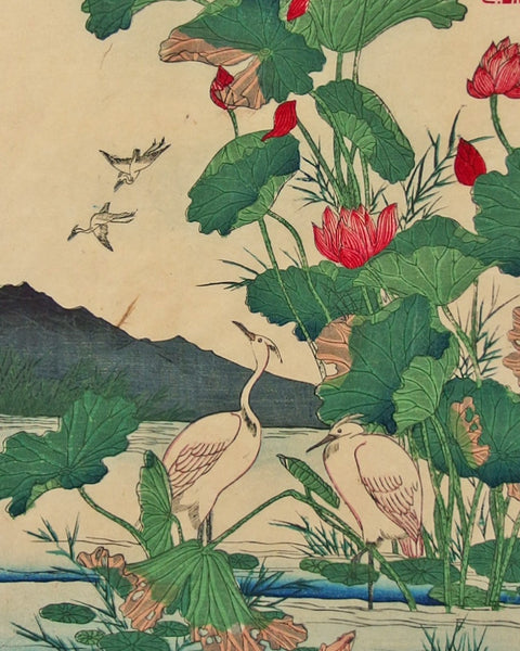 An antique Japanese ukiyo-e woodblock print depicting lotus flowers, cranes, birds, and distant mountains, mounted on a light wall with clips at the corners.