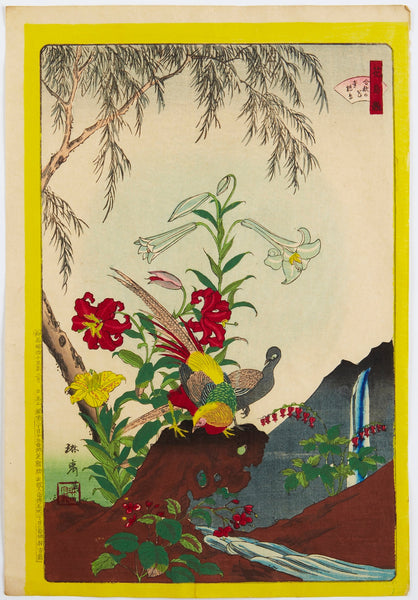 Rinsai Utsushi, Ukiyo-e, Pheasant (1871)